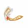 Myobrace para Brackets B2 Accesorio Intraoral Ortodoncia, Transparente, Grande 1 unidad Myofunctional